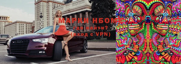ГАЛЛЮЦИНОГЕННЫЕ ГРИБЫ Инта