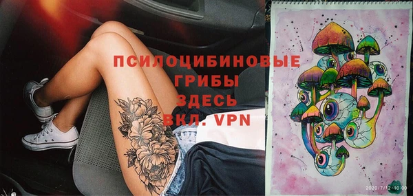 мдпв Арсеньев