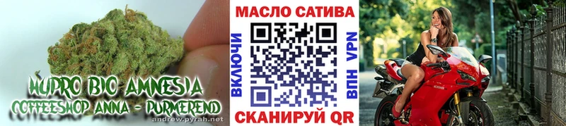 ТГК THC oil  где купить наркотик  Серов 