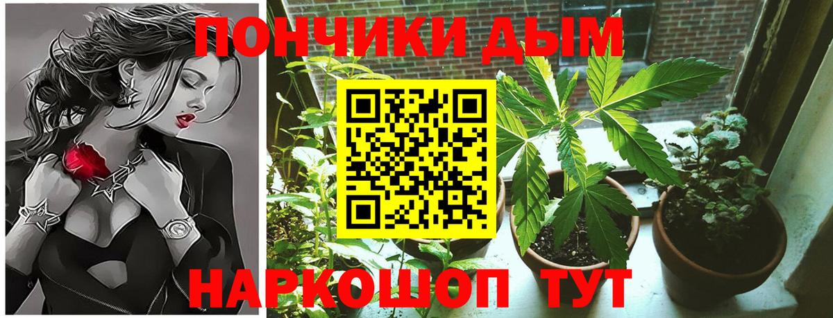 Каннабис планчик  Вход с VPN  Бошки марихуана планчик  Серов  Канабис LSD WEED 